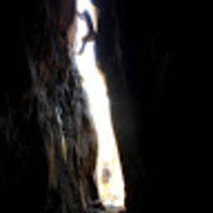 Meet your Posher, Hunter